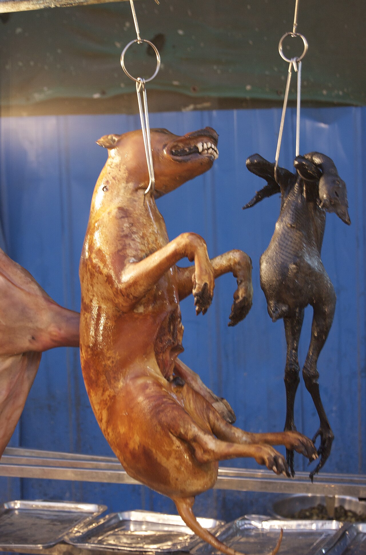 Yulin Festival and Dog meat Consumption in China